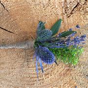 THISTLE &amp; GREENBELL BUTTONHOLE 
