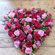 My heart, my love- tribute