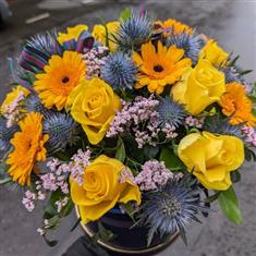 New Scottish Collection - SUNSHINE ON LEITH