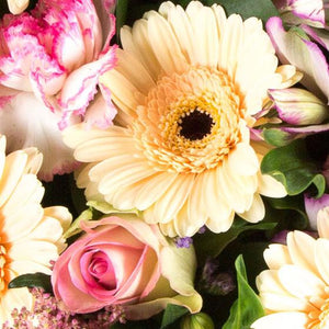 Posy Arrangement - Designers Choice