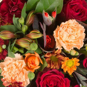 Posy Arrangement - Designers Choice