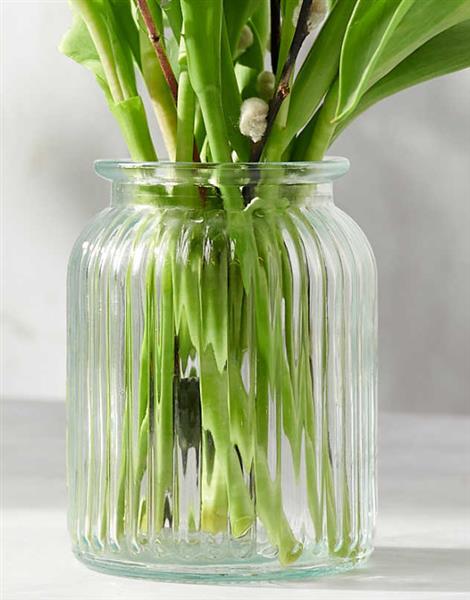Glass Vase
